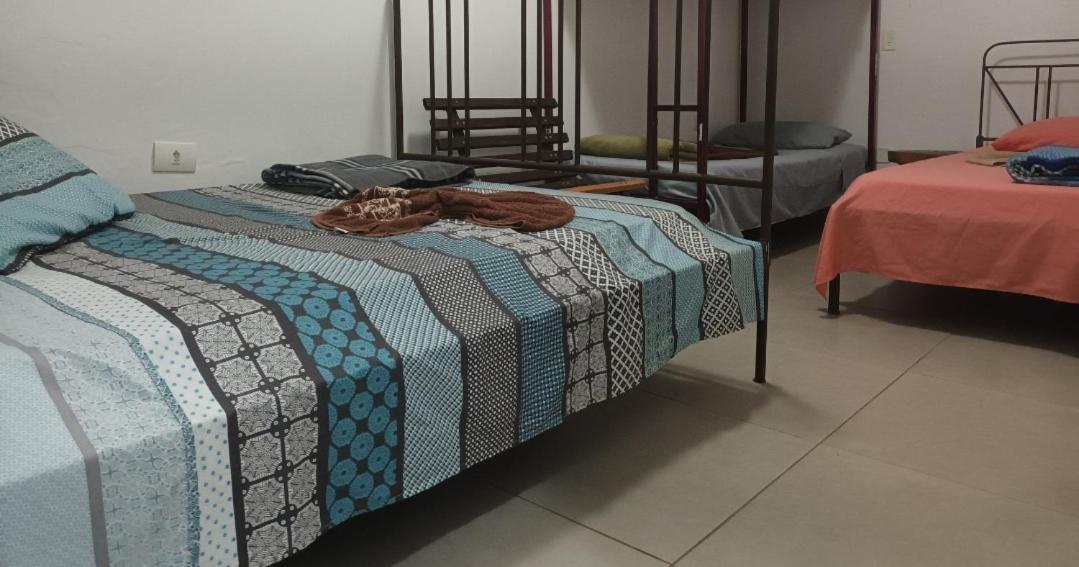 Girassol Hostel Vila Madalena Sao Paulo Dış mekan fotoğraf