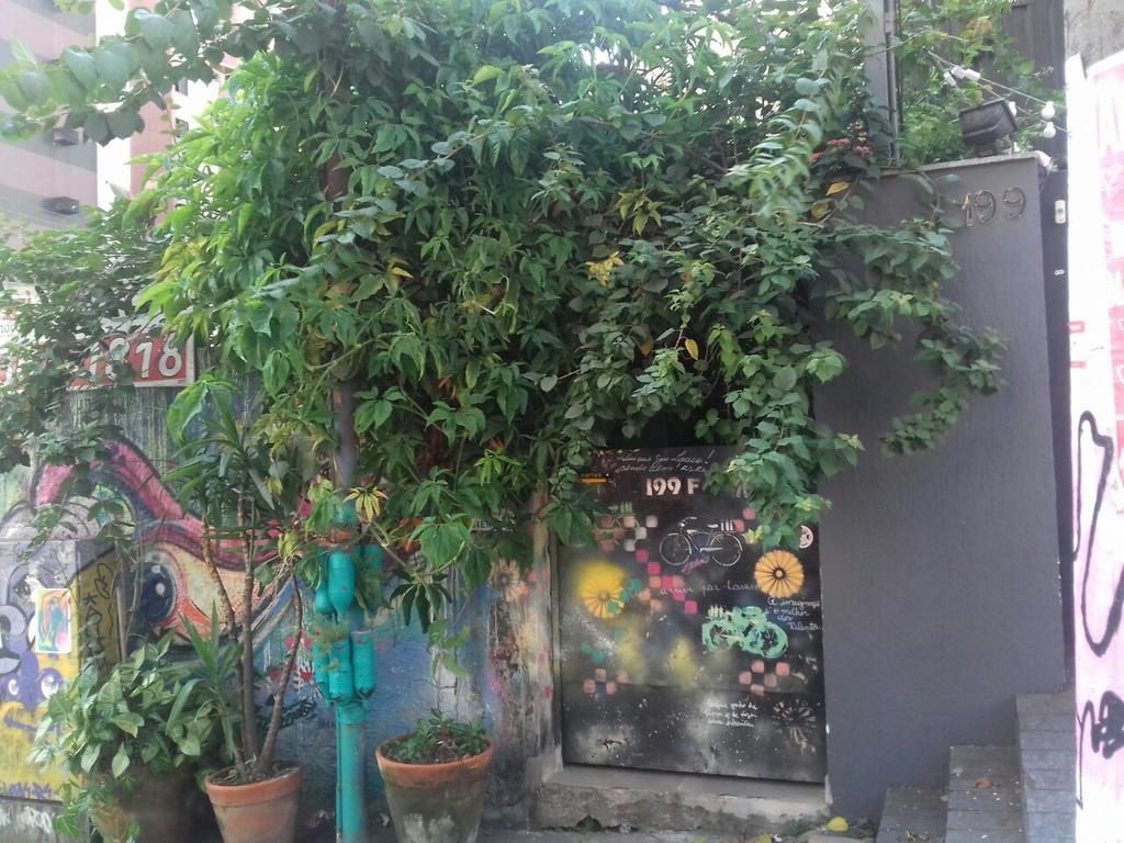 Girassol Hostel Vila Madalena Sao Paulo Dış mekan fotoğraf