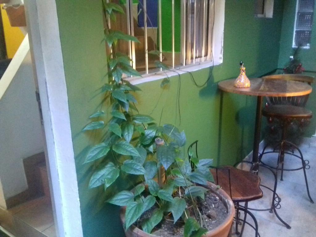 Girassol Hostel Vila Madalena Sao Paulo Dış mekan fotoğraf